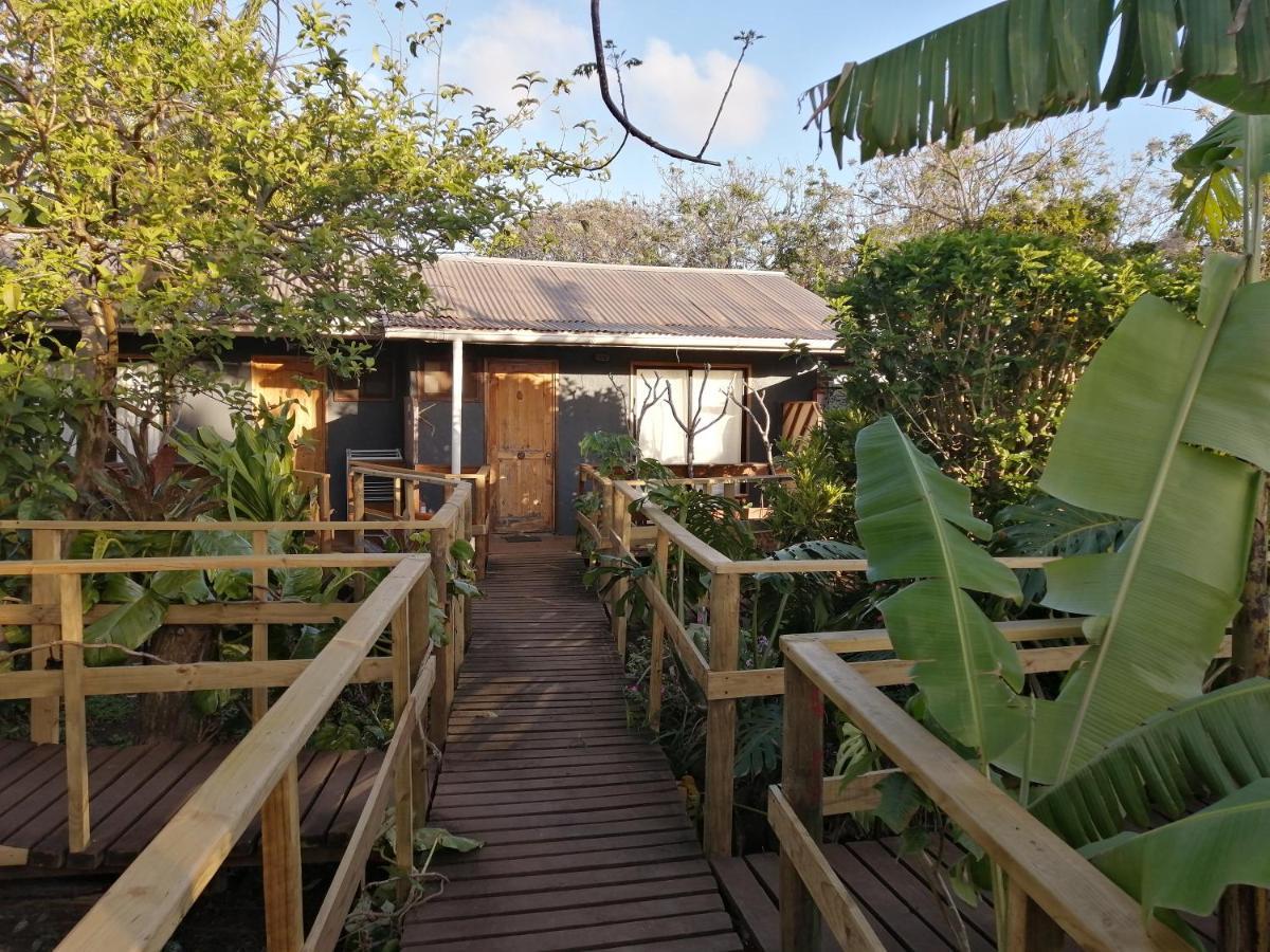 Tuava Lodge ハンガ・ロア エクステリア 写真