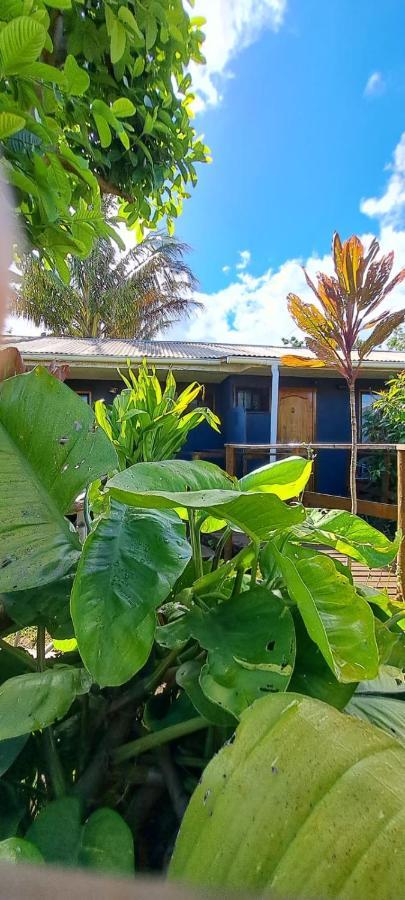 Tuava Lodge ハンガ・ロア エクステリア 写真