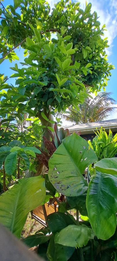 Tuava Lodge ハンガ・ロア エクステリア 写真
